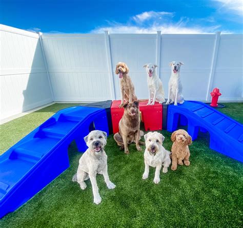 Woofs play and stay - Woof's Play & Stay is located at 530 McCall Rd Suite 150 in Manhattan, Kansas 66502. Woof's Play & Stay can be contacted via phone at 785-539-7849 for pricing, hours and directions.